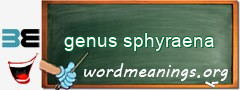 WordMeaning blackboard for genus sphyraena